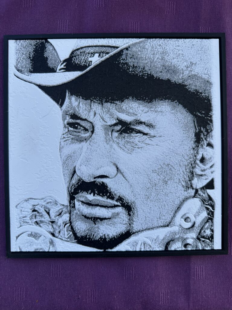 Tableau Johnny Hallyday ⚡